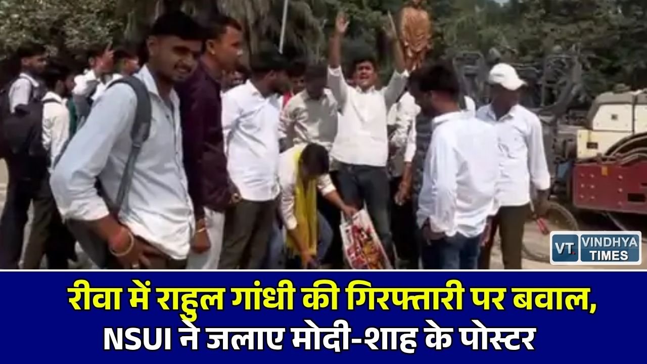 Rewa News: रीवा के कॉलेज चौराहे पर NSUI का उग्र प्रदर्शन, राहुल गांधी की गिरफ्तारी के विरोध में केंद्र सरकार के खिलाफ की नारेबाजी
