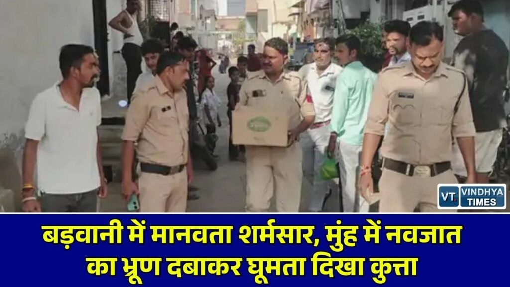 MP News: बड़वानी में सड़क पर नवजात शिशु का भ्रूण लेकर घूमता नजर आया कुत्ता, अस्पताल की सील मिलने पर उठे गंभीर सवाल