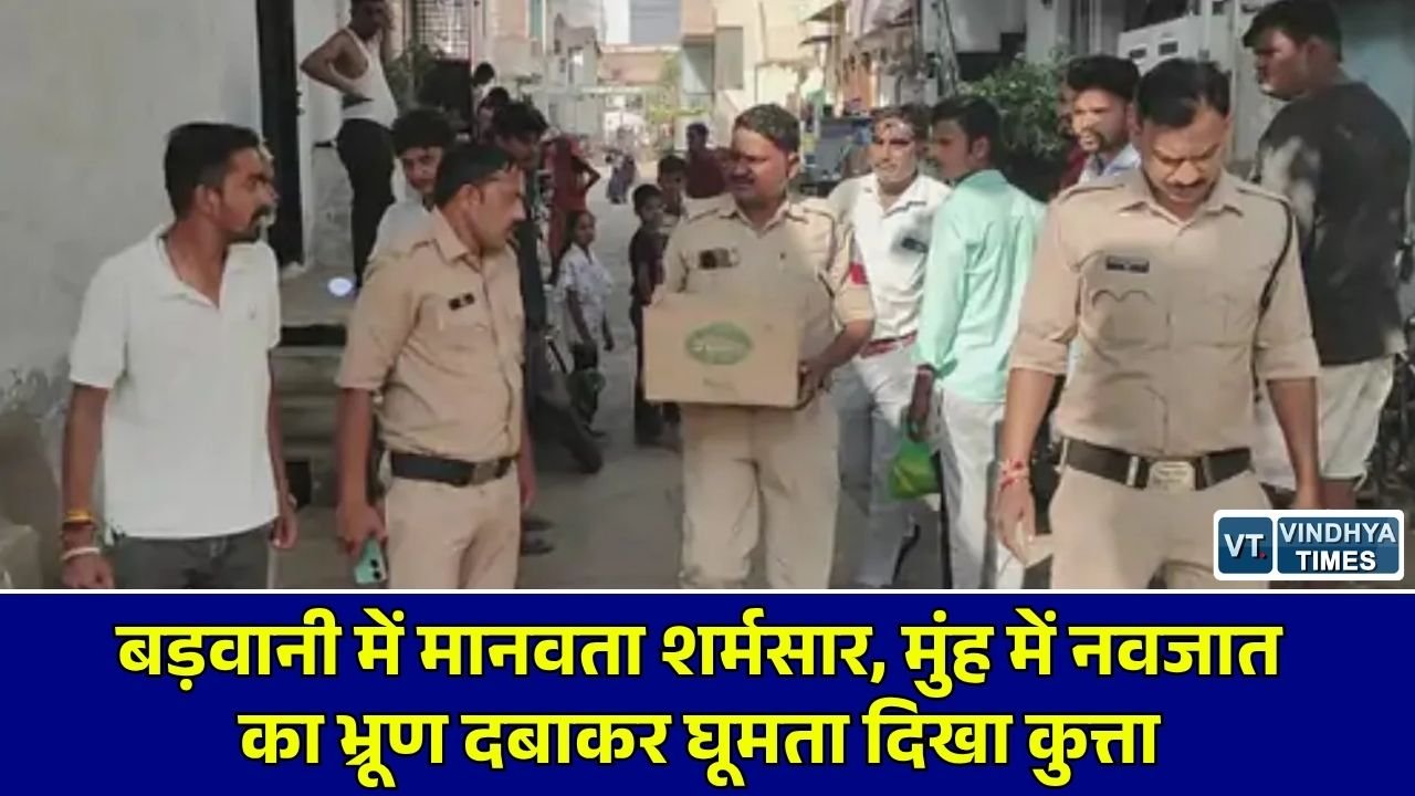 MP News: बड़वानी में सड़क पर नवजात शिशु का भ्रूण लेकर घूमता नजर आया कुत्ता, अस्पताल की सील मिलने पर उठे गंभीर सवाल