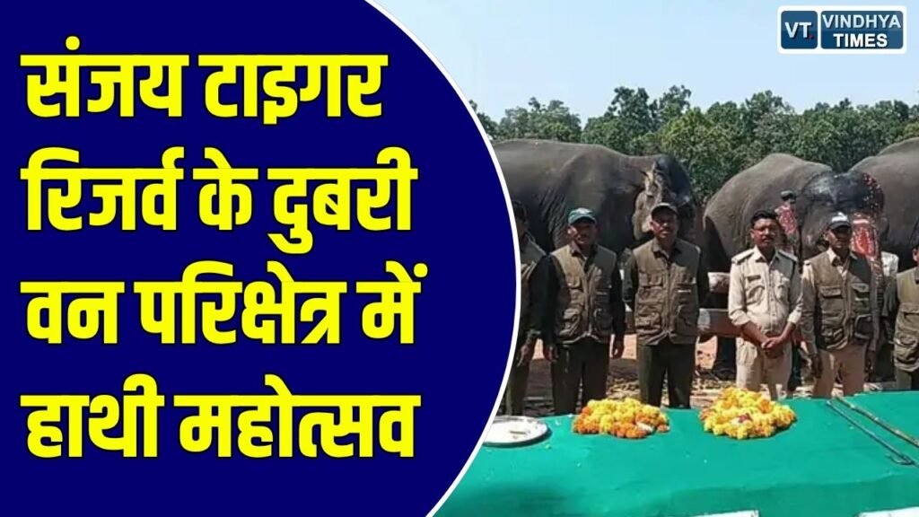 Sidhi News: संजय टाइगर रिजर्व में हाथी महोत्सव शुरू, हाथियों का स्वास्थ्य परीक्षण और दी गई विशेष सौगातें