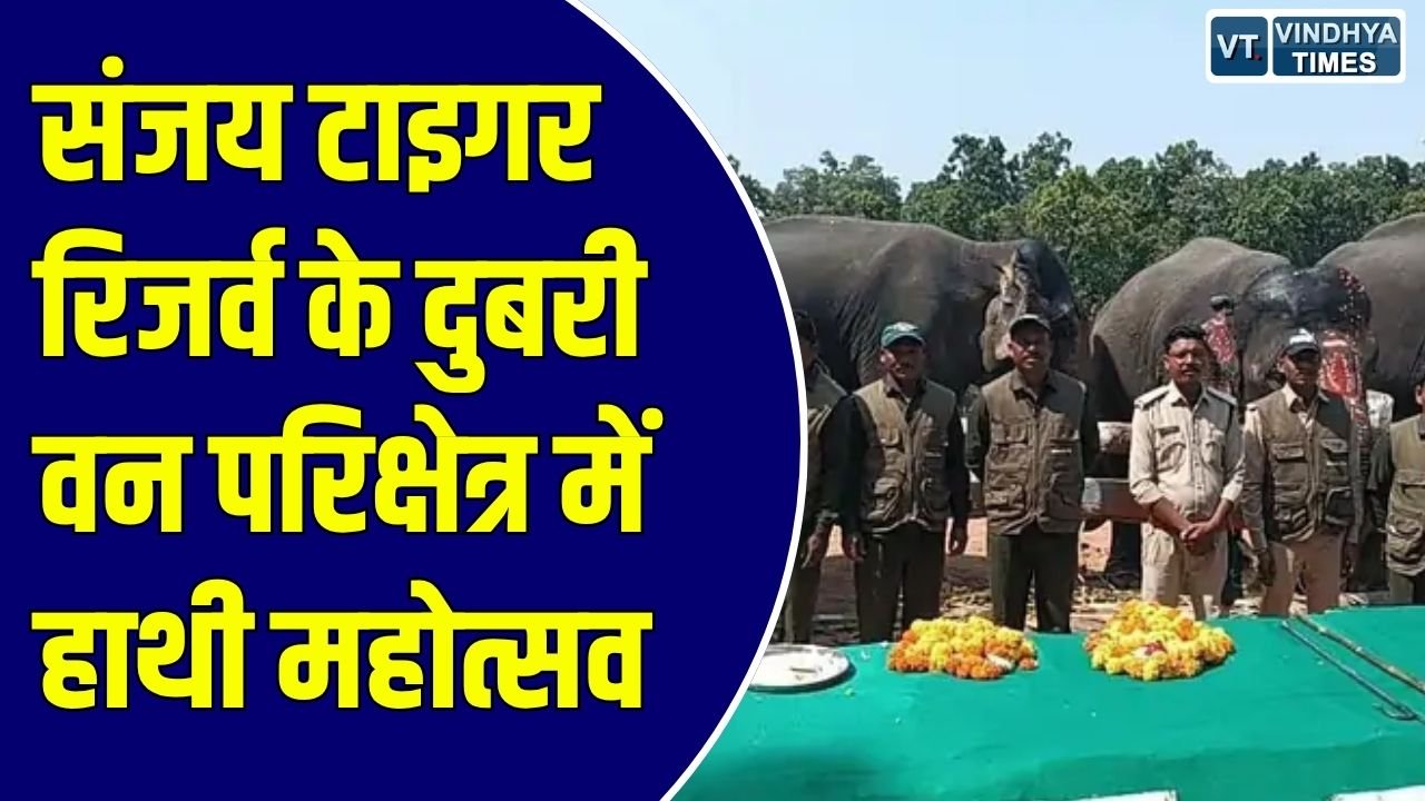 Sidhi News: संजय टाइगर रिजर्व में हाथी महोत्सव शुरू, हाथियों का स्वास्थ्य परीक्षण और दी गई विशेष सौगातें