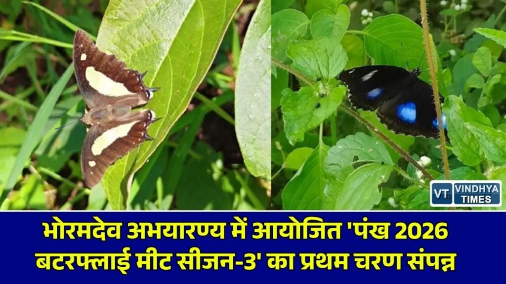 CG News: भोरमदेव अभयारण्य में 'पंख 2026' बटरफ्लाई मीट का पहला चरण संपन्न, 4 राज्यों के प्रतिभागी हुए शामिल