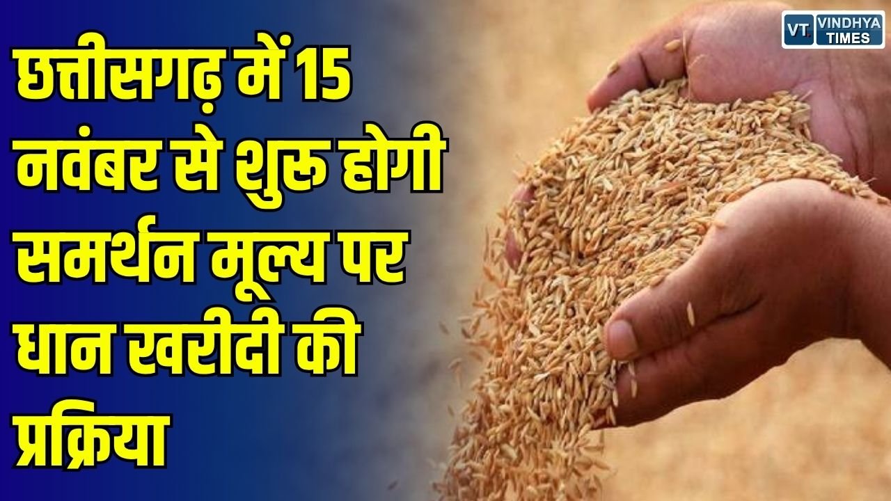 CG News: छत्तीसगढ़ में 15 नवंबर से शुरू होगी धान खरीदी, छोटे और सीमांत किसानों को मिलेगी प्राथमिकता