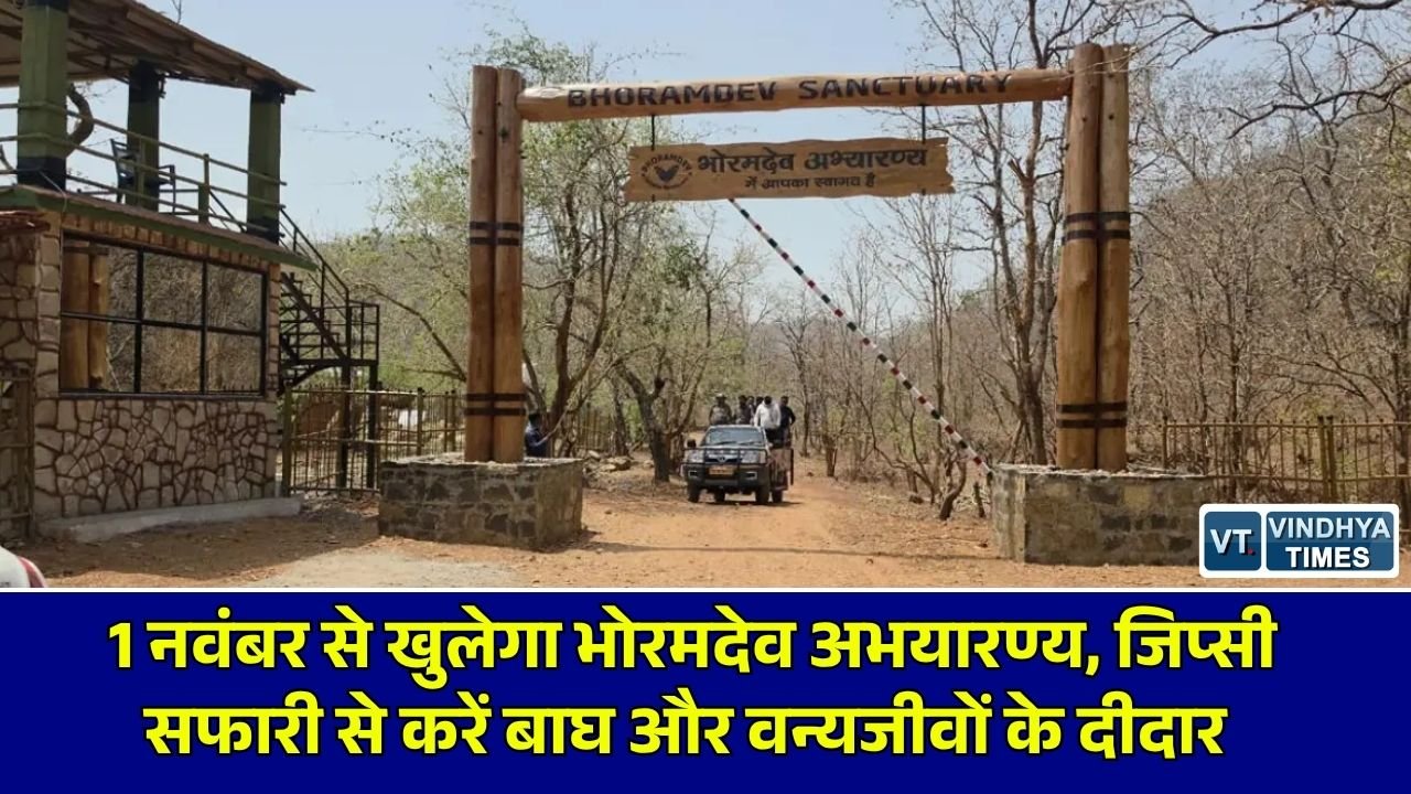 CG News: भोरमदेव अभयारण्य में 1 नवंबर से शुरू होगी जंगल सफारी, सकरी नदी के बहाव और सड़कों की मरम्मत का काम जारी