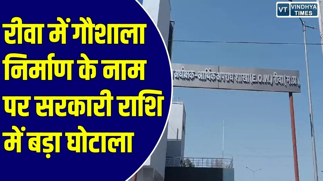 Rewa News: रीवा में गौशाला निर्माण के नाम पर लाखों का घोटाला, EOW ने तत्कालीन अधिकारियों और फर्म पर दर्ज की FIR