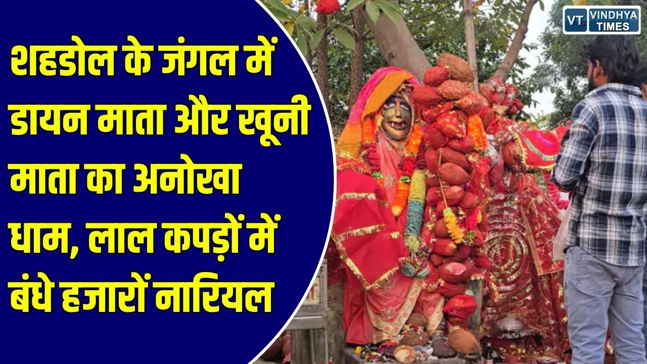 Special Story: शहडोल के जंगल में डायन माता और खूनी माता का धाम, लाल कपड़ों में बंधे हजारों नारियल, अनोखी है मान्यता